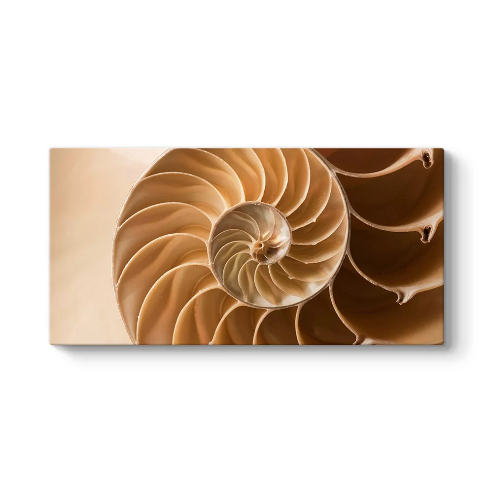 Spiral Tablosu - Model 5